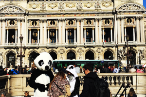 Street marketing campaign: pandas everywhere in Paris !